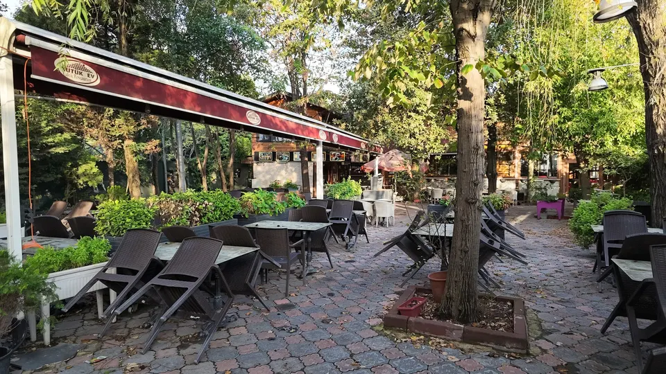 Tenteli, ağaçlı bahçe oturma alanı